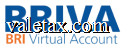 BRI Virtual Account